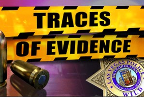 Traces of Evidence