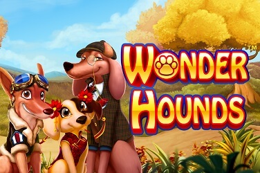 Wonder Hounds