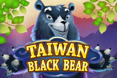 Taiwan Black Bear