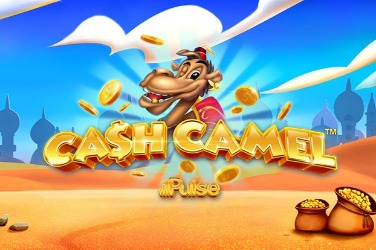 Cash Camel