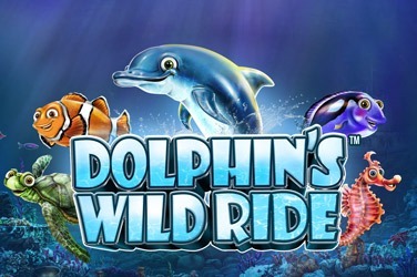 Dolphin’s Wild Ride