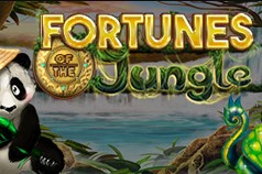 Fortunes of the Jungle