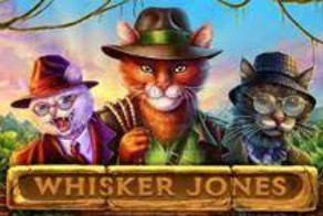 Whisker jones