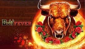 Bull Fever