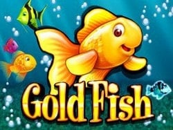 Gold Fish