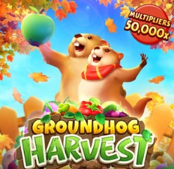 Groundhog Harvest