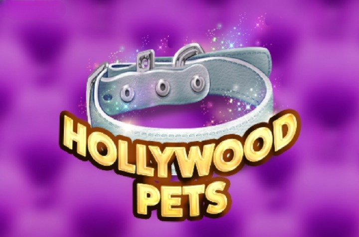 Hollywood Pets