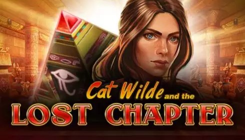 Cat Wilde and the Lost Chapter