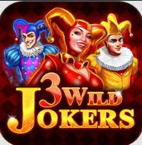 3 Wild Jokers