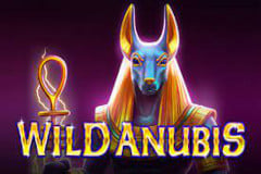 Wild Anubis