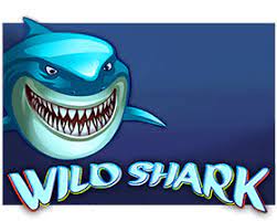 Wild Shark