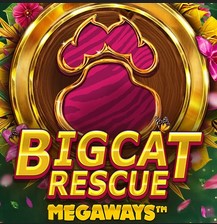 Big Cat Rescue Megaways™