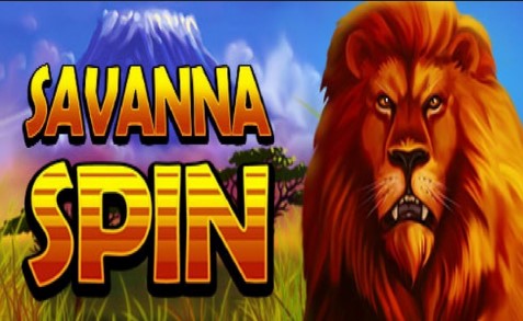 Savanna Spin