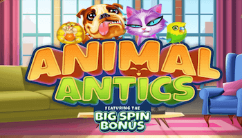 Animal Antics