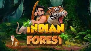 Indian Forest