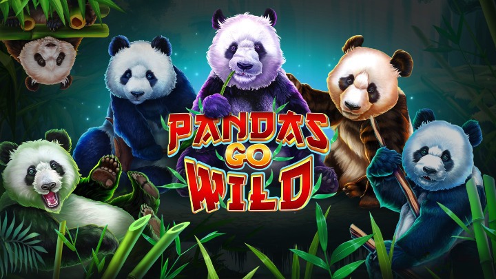 Pandas Go Wild