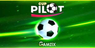 Pilot Cup