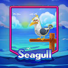 Seagull