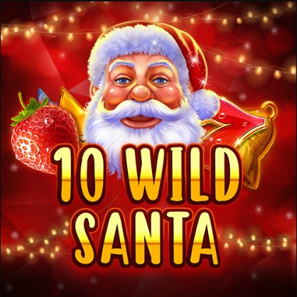 10 Wild Santa