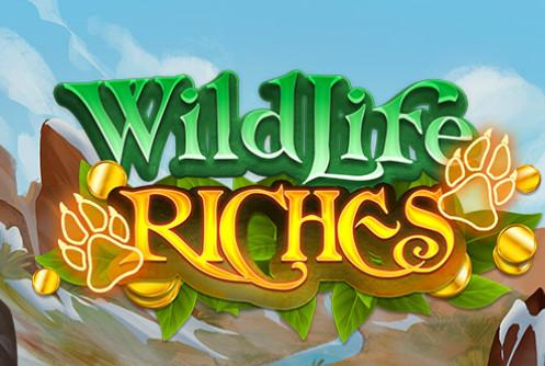 Wildlife Riches