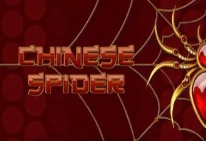 Chinese Spider