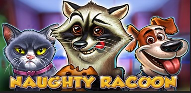 Naughty Racoon