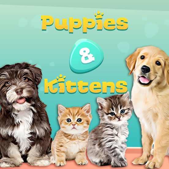 Puppies and Kittens