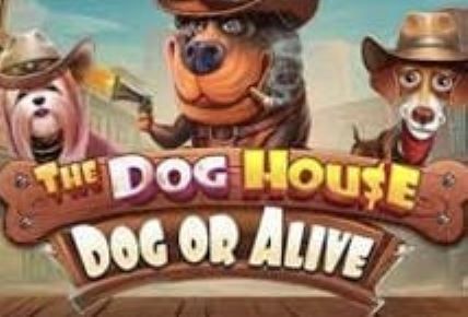 The Dog House – Dog or Alive