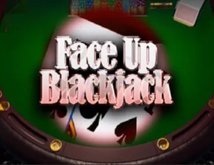 Face-Up Blackjack (Games Inc)