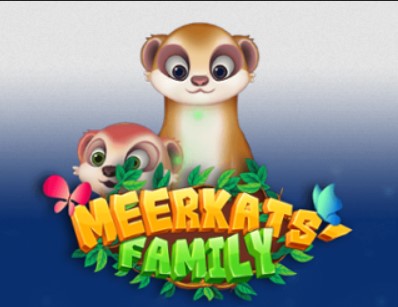 Meerkats Family