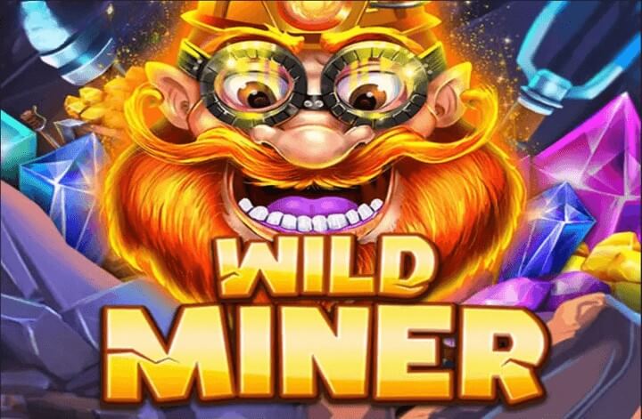 Wild Miner (OneGame)